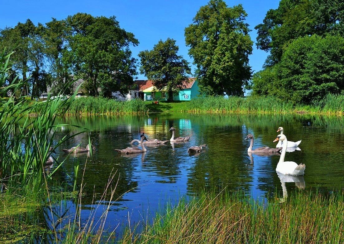 Почему люди не могут жить мирно и без конфликтов? https://www.culture.ru/storage/images/1287ebf94f2957f4e82118d6e7fab1af/aa781d33cff625619ca0f7d969cdabeb.jpeg