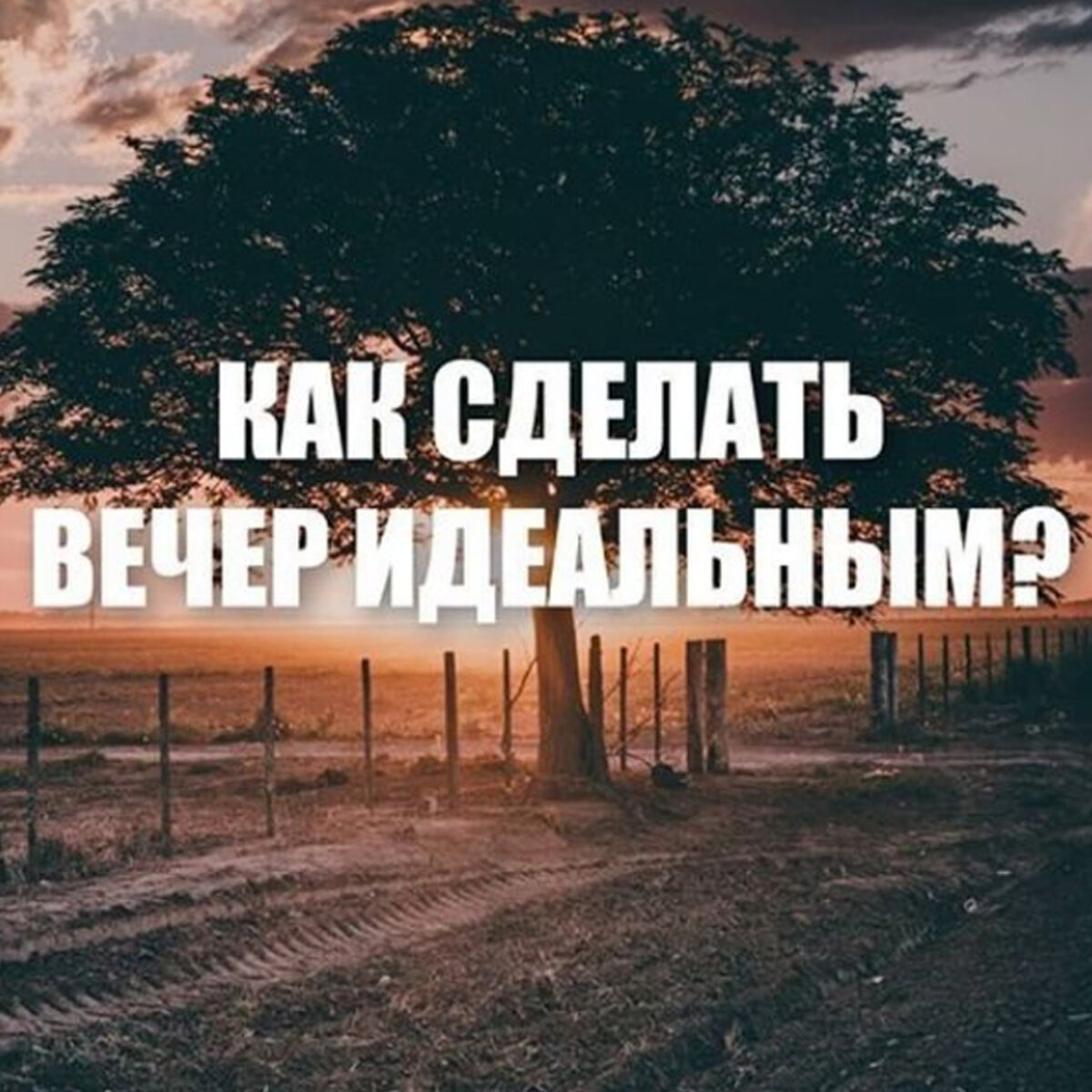 Как сделать вечер идеальным?  Наверное многие задавали себе этот вопрос. И ведь действительно то, как мы проводим свой вечер, определяет насколько будет бодрым наше утро! Многое изменилось с тех пор, как я стала участником марафона.
Пока мой вечер не такой идеальный, но все же проходит намного качественнее, чем раньше.
Я поняла насколько важно не есть после 19.00, а вот в 21.00 мы с детьми ввели в свой распорядок прогулку. Именно во время прогулки мы стали больше общаться друг с другом, а раньше, проводя это время дома, каждый занимался своими делами и чаще это зависание в телефонах, компьютере.
Буквально, за полчаса до сна, я достаю свой блокнот, анализирую прошедший день и пишу планы на следующий, чтобы уже с утра день начался продуктивно!!!
А как проходит ваш вечер?