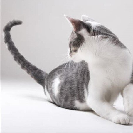 Фото из Интернета.