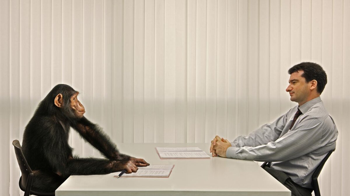 Сотрудник HR собеседует 20-летнего работника с 40-летним стажем на вакансию CEO.
Изображение с сайта https://corchaosis.ru