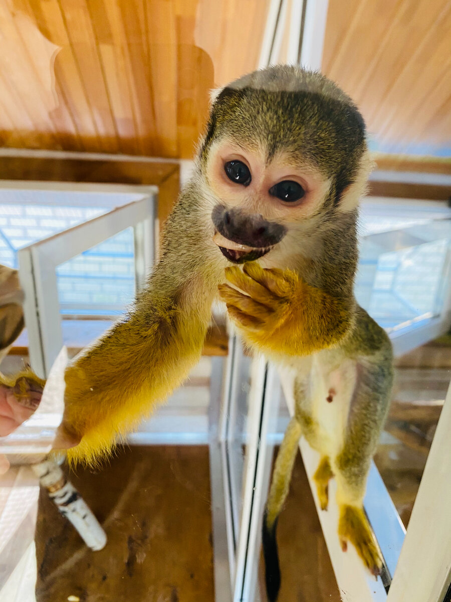 Ну, привет, что ли