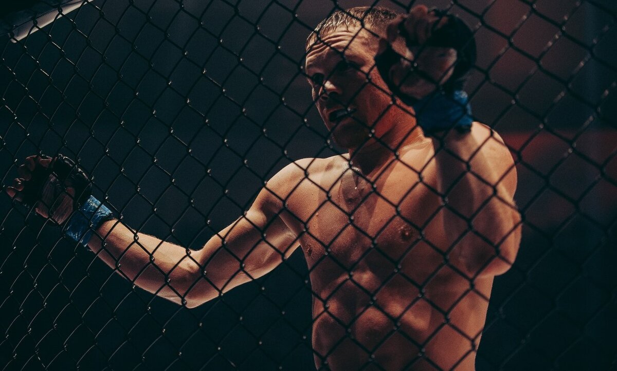 Обои UFC Петр Ян