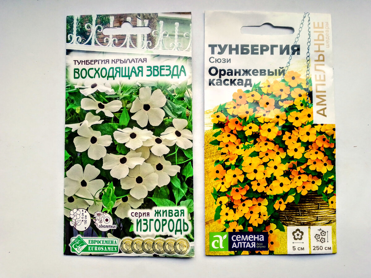 Семена тунбергии крылатой белой "Восходящая звезда", Евросемена, 10 шт. и оранжевой Сюзи Оранжевый каскад, Семена Алтая, 0.1 гр.
