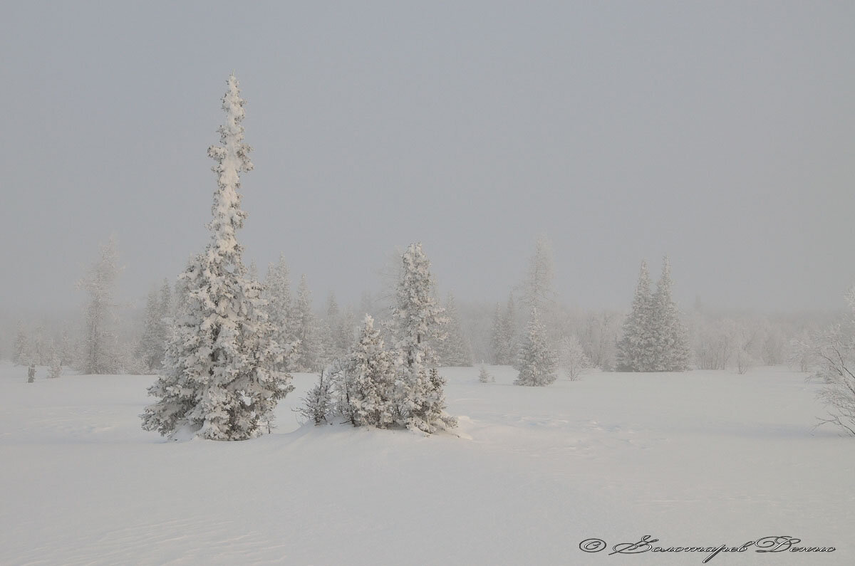Деревня мгла ненецкого автономного округа. Мгла архангельская область. Мгла ненецкий автономный округ деревня. Деревня мгла. Зимняя деревня.