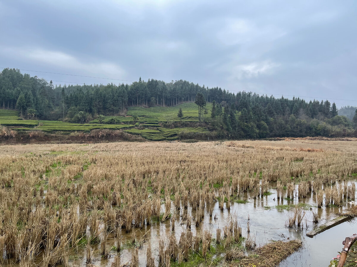 Ферма. Колхоз 2022. Дт 75 для фс 22. Колхоз имени ленина станица галюгаевская. Дт 75 казахстан для фс 22.