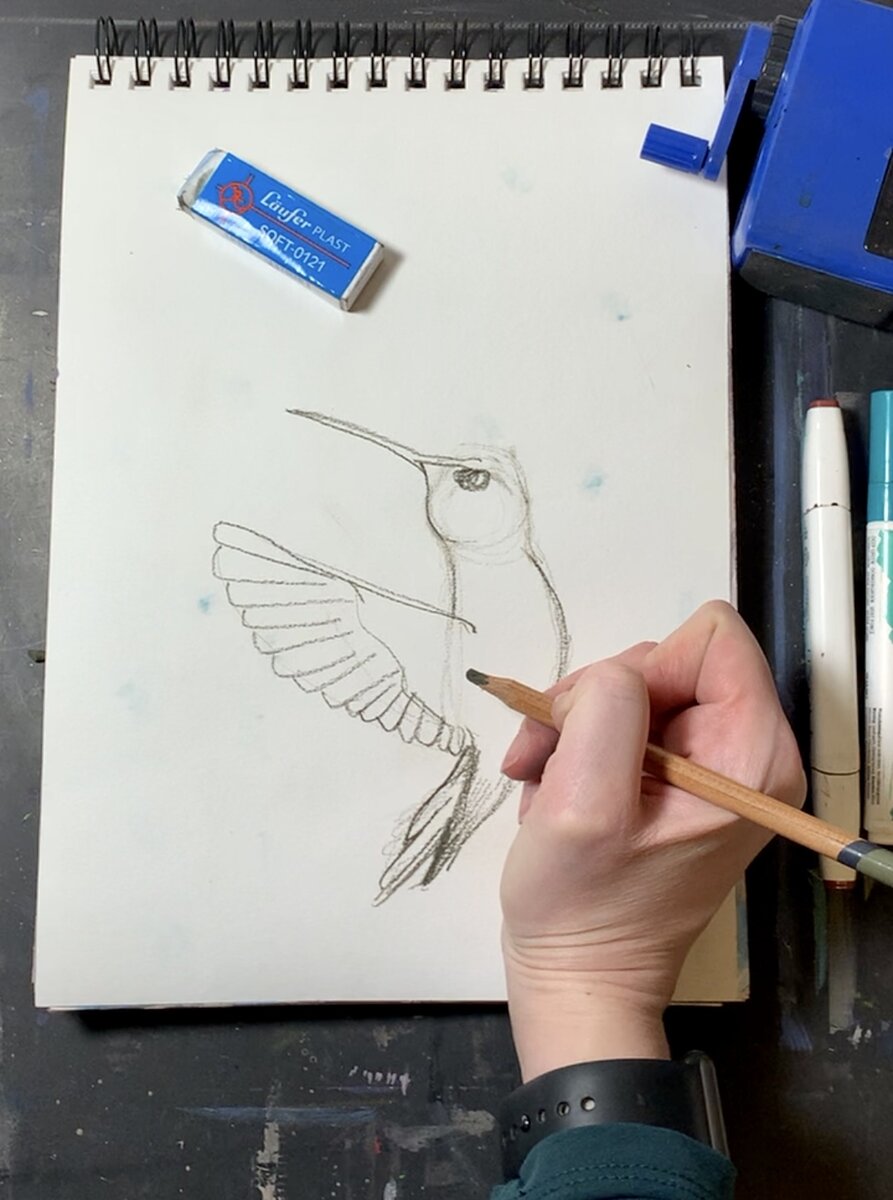 Добавляю оперение на хвосте и крыле, длинный заострённый клюв, намечаю глаз. Всё это проделываем сразу цветным карандашом.