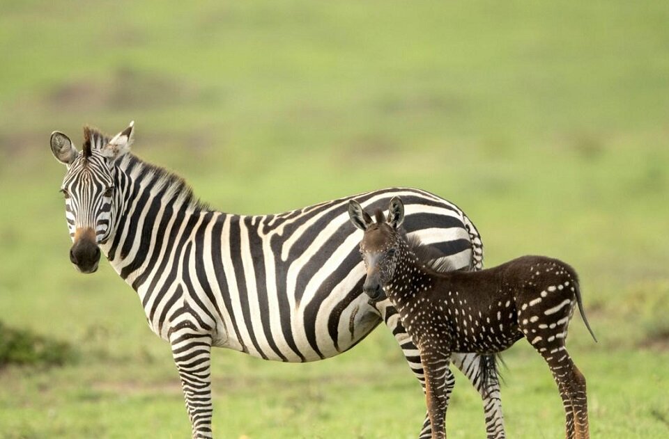 Согласитесь, обе впечатляющие