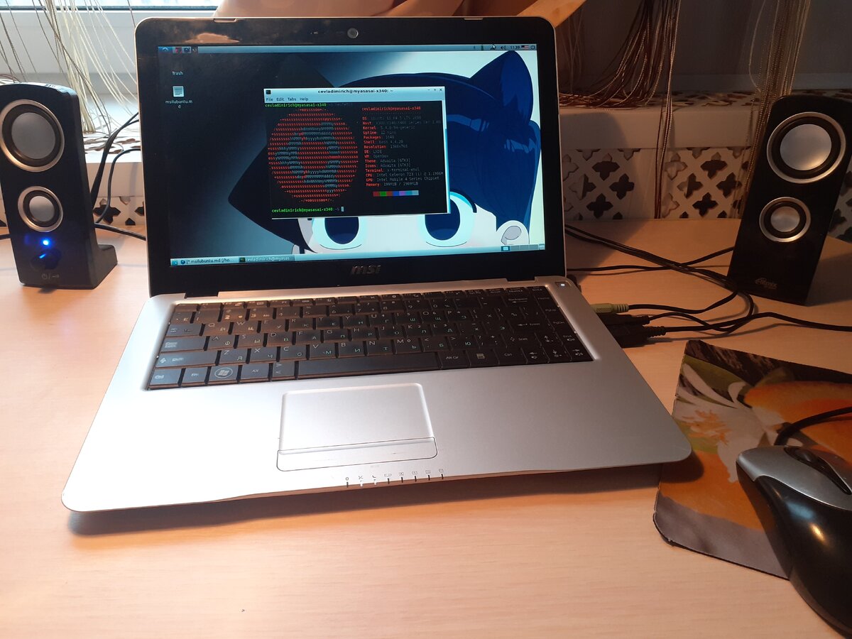 С передней стороны ничего лишнего: колонки, тачпад, монитор и мышка. 