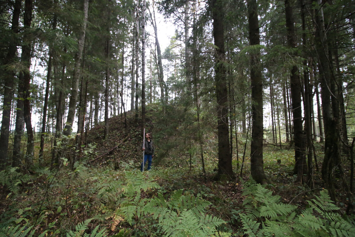 Сопки у д. Заручевье