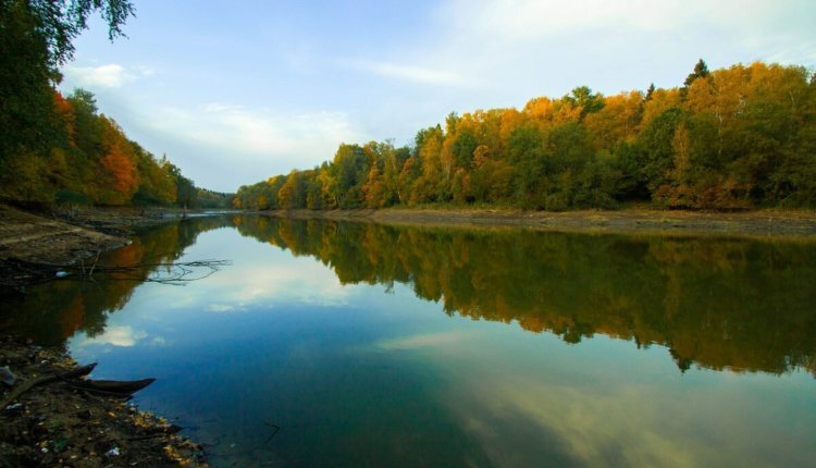 Фото: andrey-eltsov.ru