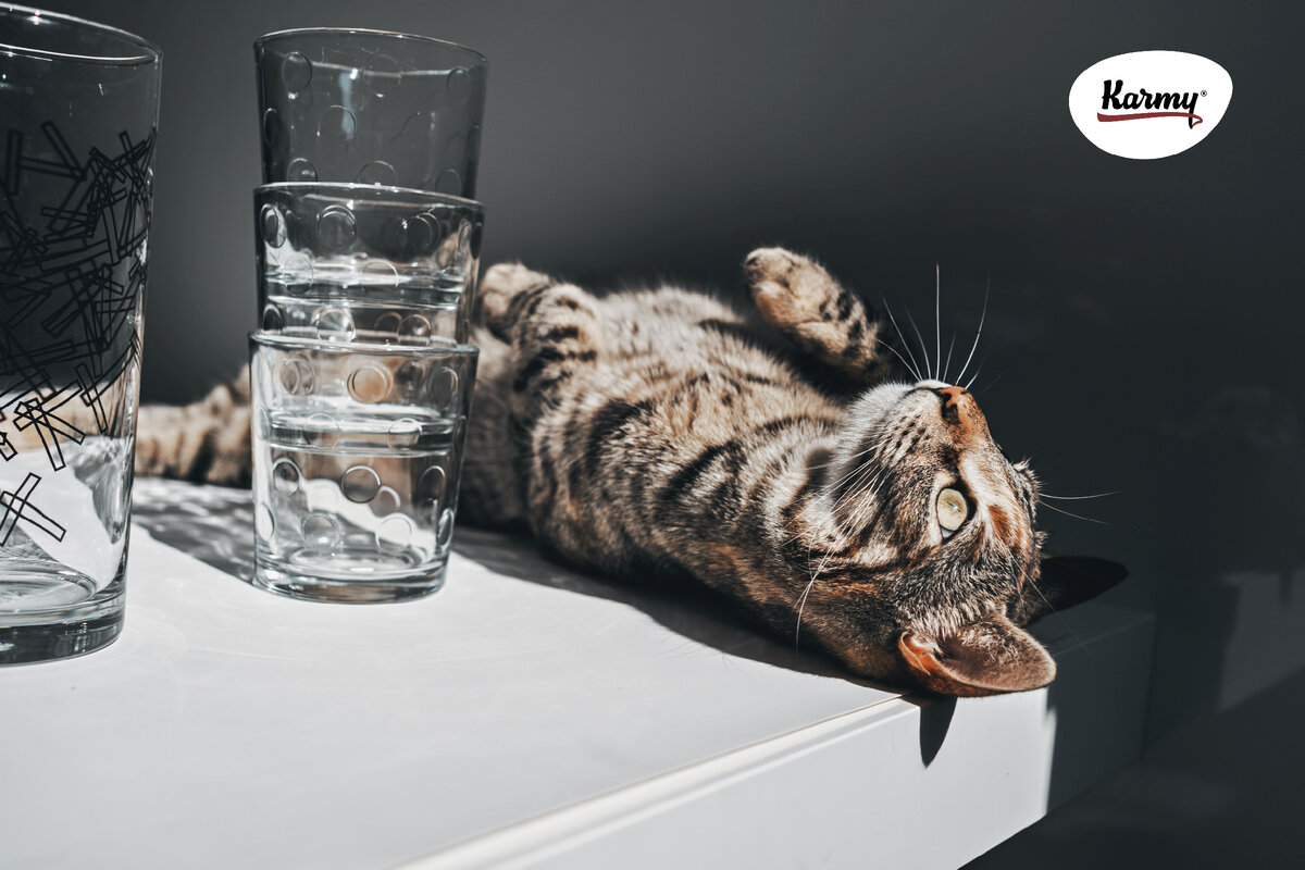 Авторское изображение с использованием картинки с фотостока "Unsplash" 