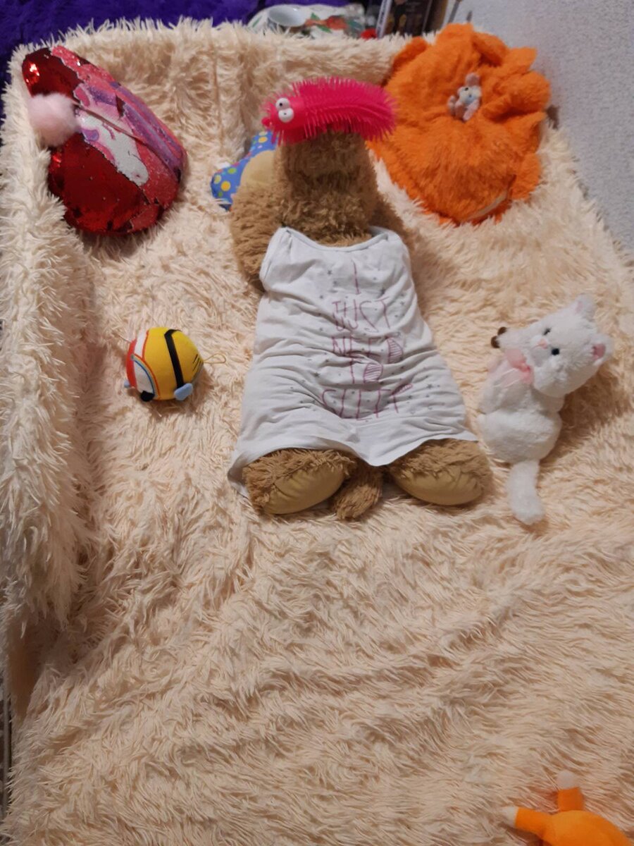 Заправленная кровать, Тузик посередине.