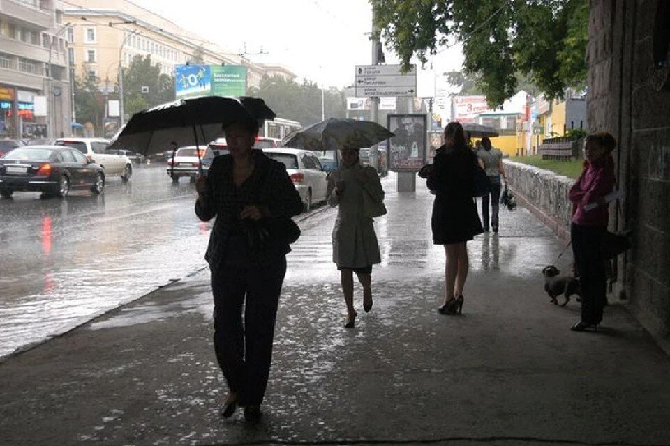     Дожди и похолодание придут в Новосибирск Андрей КОПАЛОВ, Архив «КП»