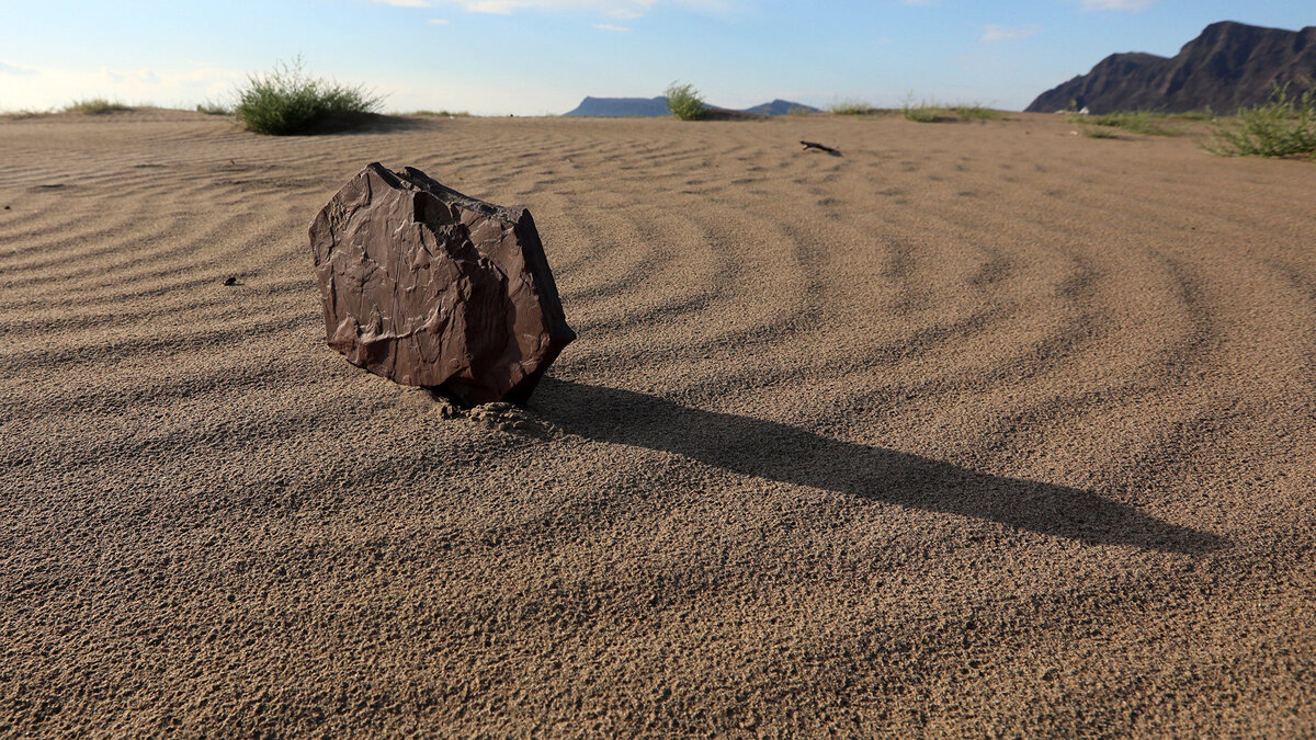    Засуха© РИА Новости . Илья Наймушин