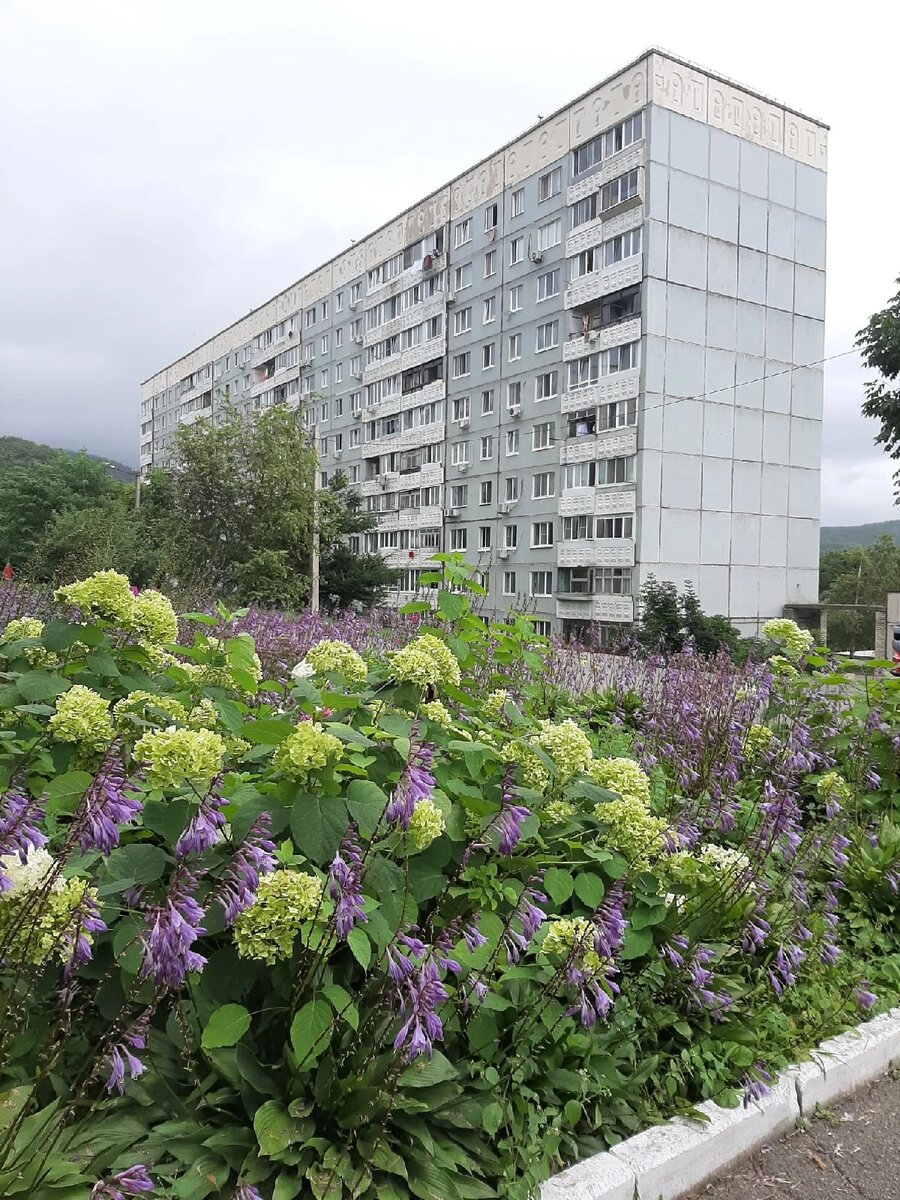 Емар, ул. Артековская, 22.08.22