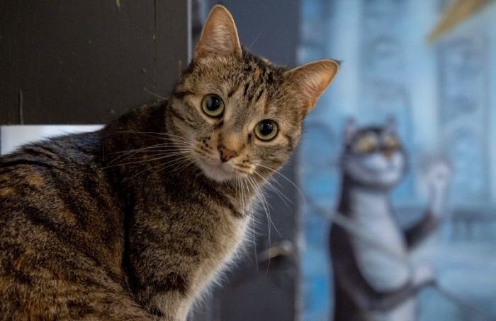    Олег Золото / MR7