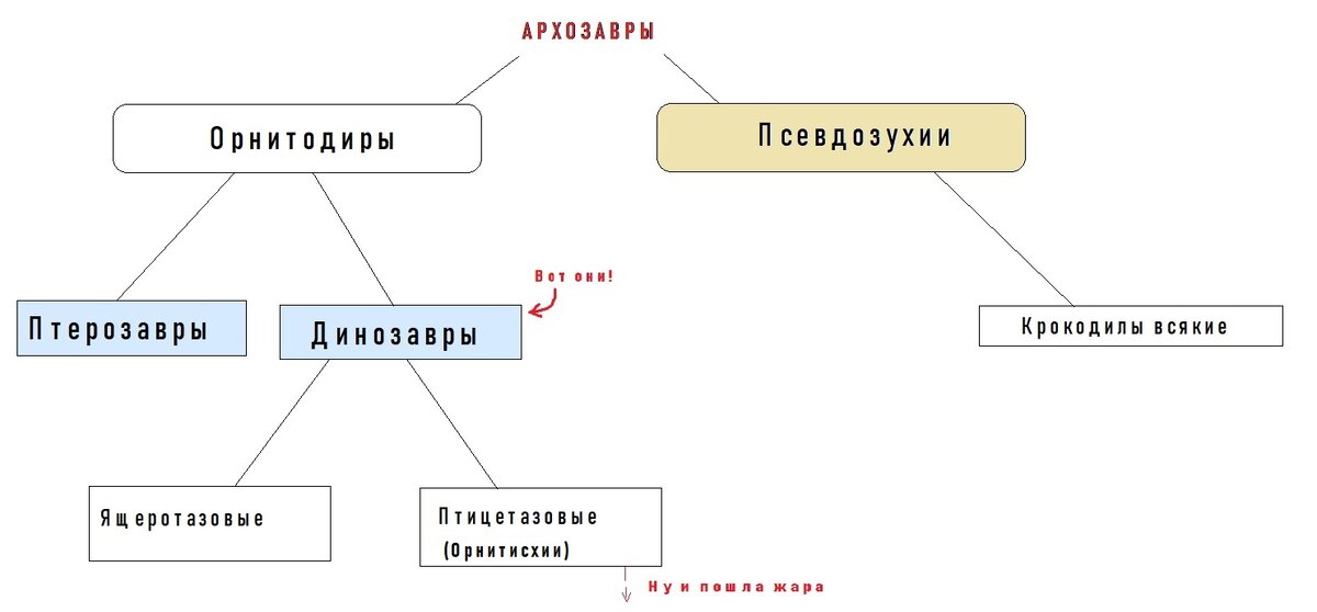 Такую вот маленькую кладограмку нарисовал. Надеюсь, что не попутал ничего.