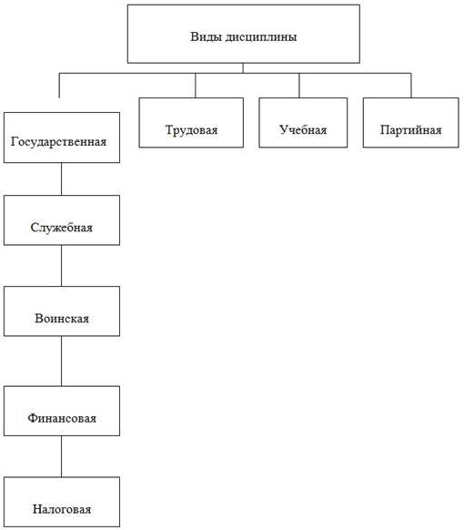 Схему характеризующую разновидности дисциплины в жизнедеятельности общества и государства