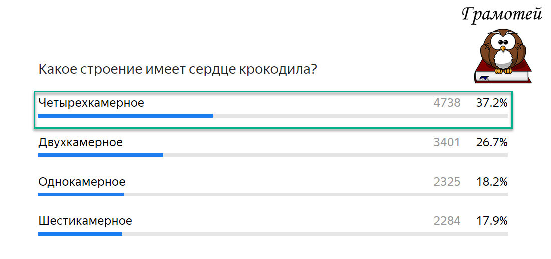 У крокодилов четырехкамерное сердце. Фото автора 
