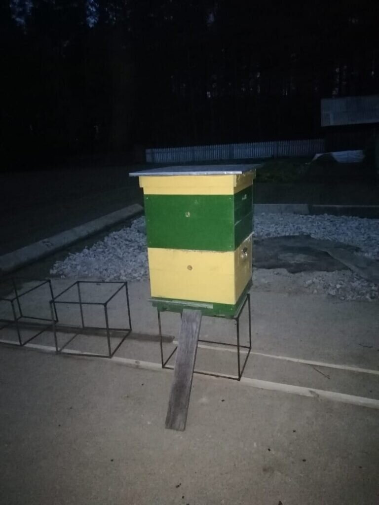    Двухъярусный улей