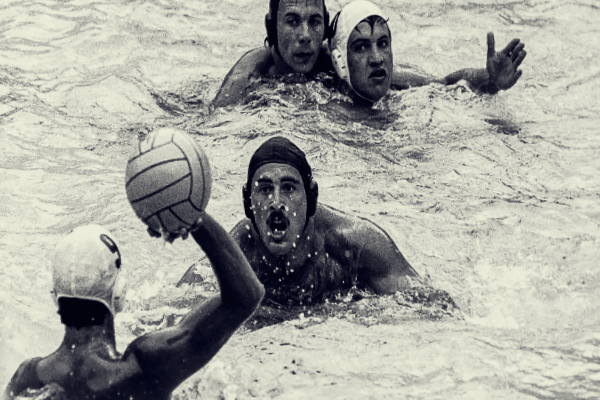 Пётр Мшвениерадзе – участник «водного побоища»: как мстили венграм за ...