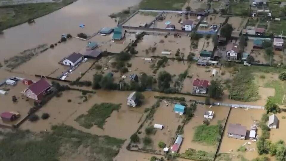 Фото: © Скриншот видео