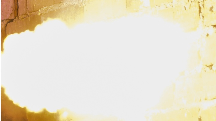 © BULKIN SERGEY NEWS.RU/GLOBALLOOKPRESS 