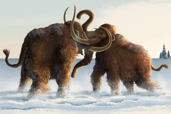 Как битва между «Бенни» и «Джорджем» могла выглядеть 12 000 лет назад.