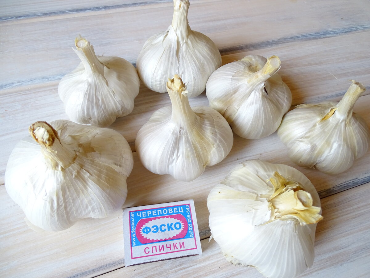 Фото автора.