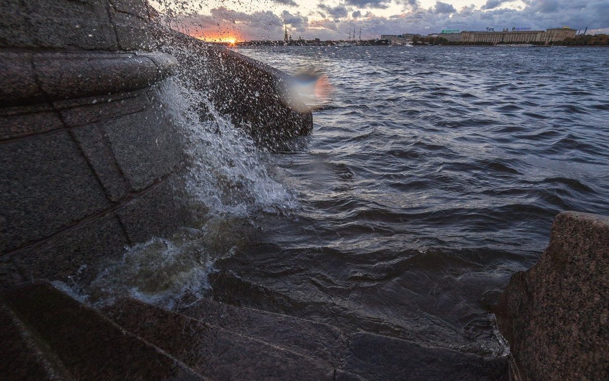 источник фото: cs8.pikabu.ru