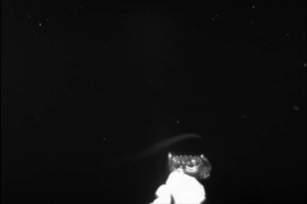 Появляется первая щупальца,кальмар начинает охоту