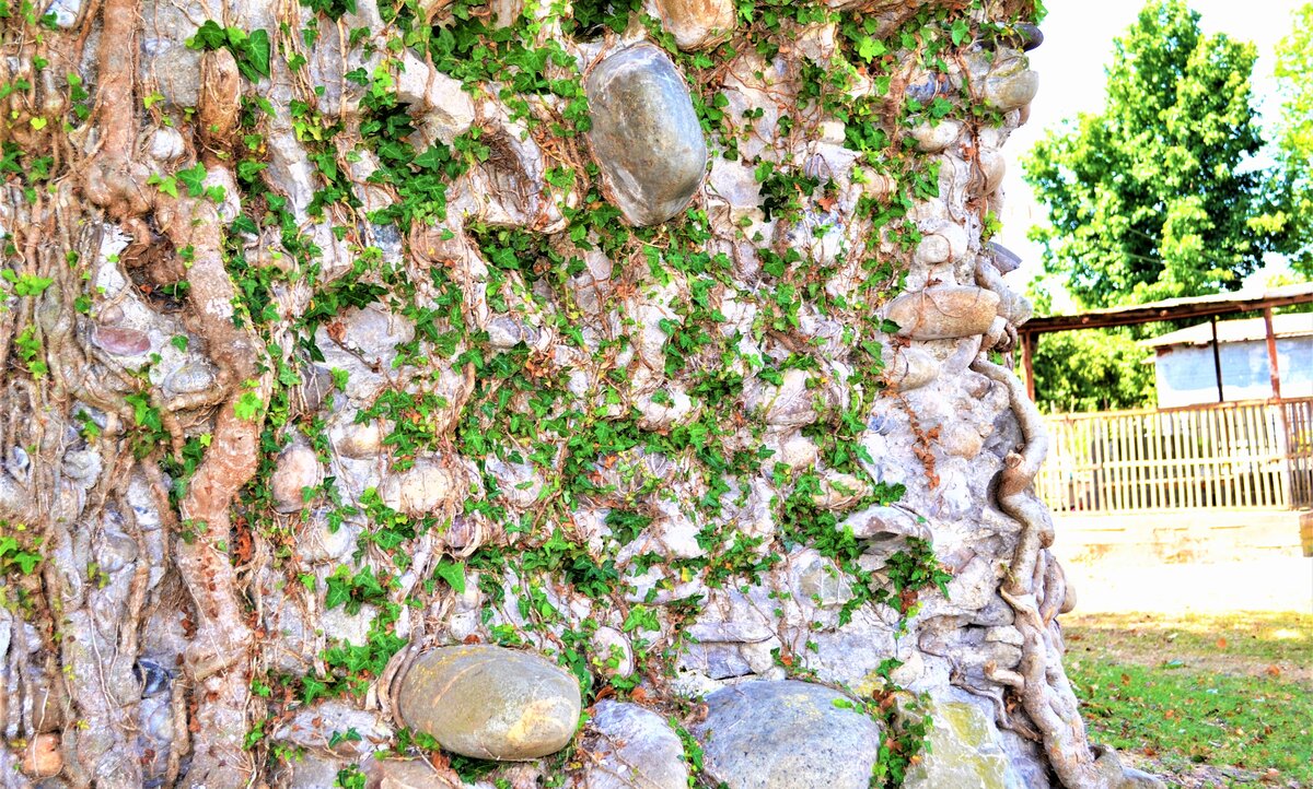 Фрагмент стены храма Че охваме