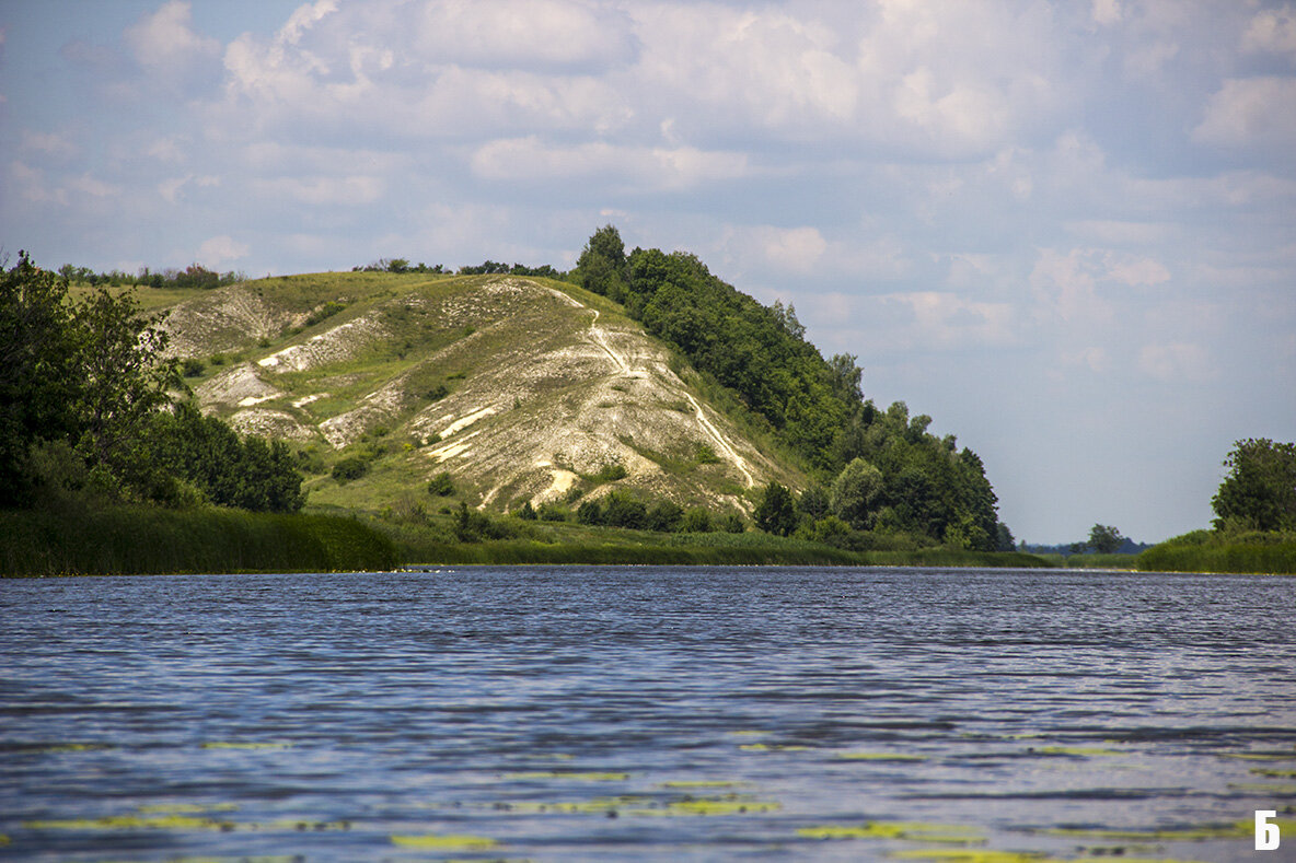 Воронежская область р