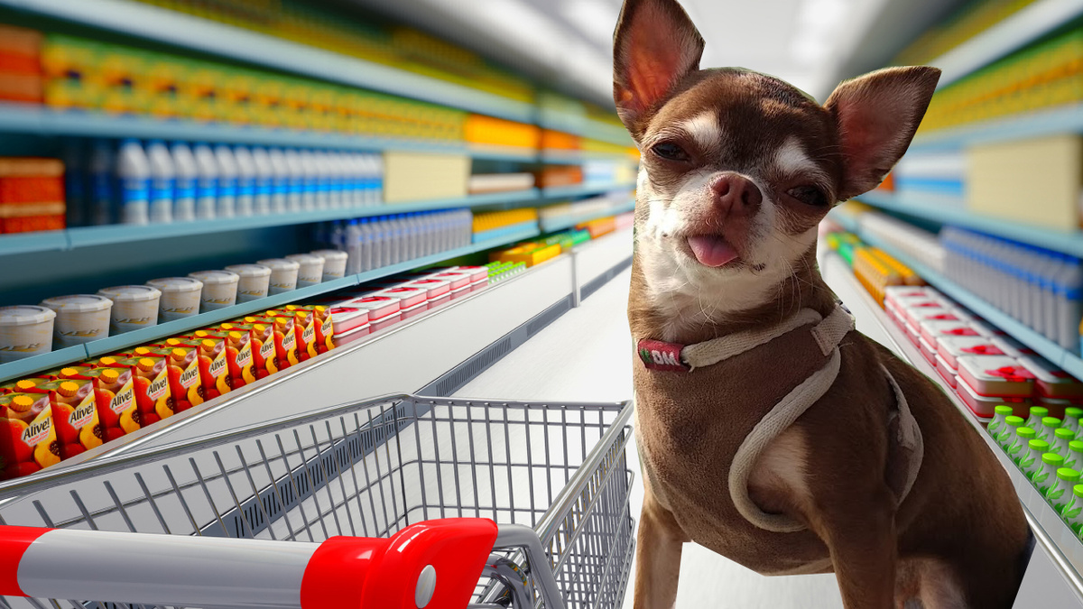 Пришла за покупками 