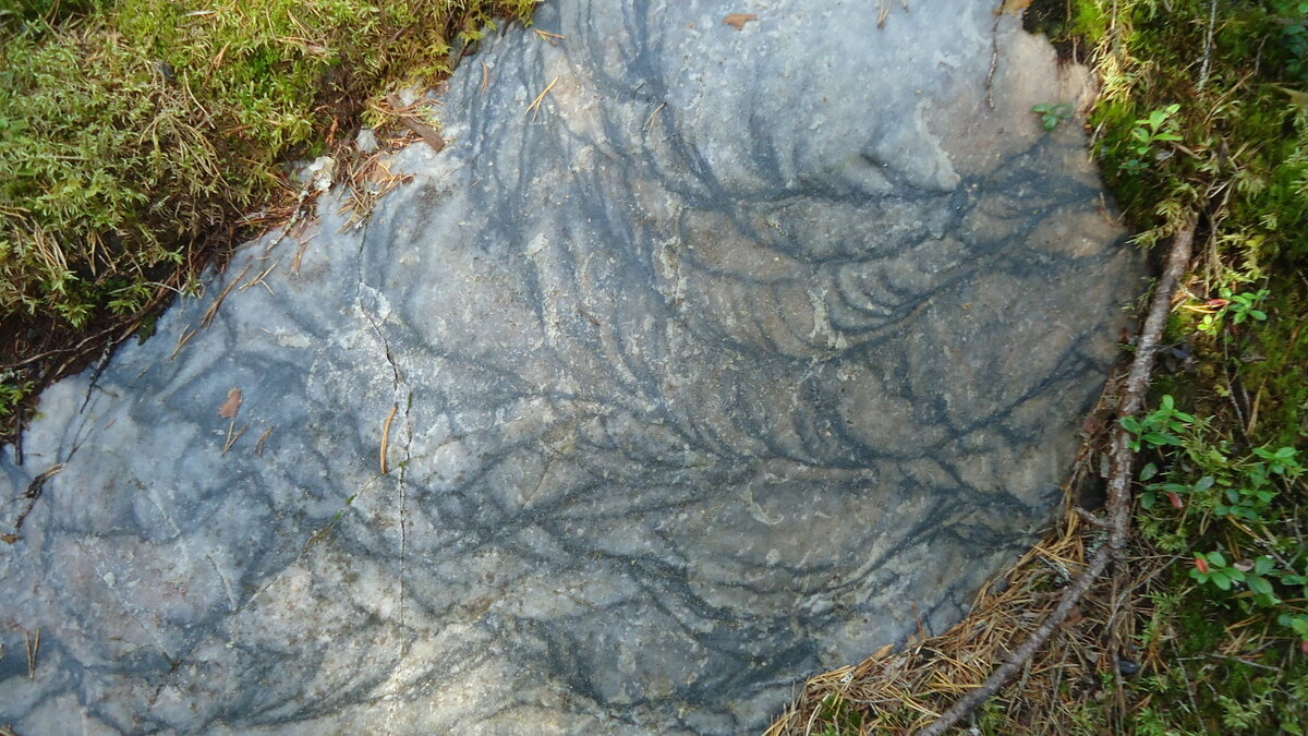 вот такие интересные камни есть на горе