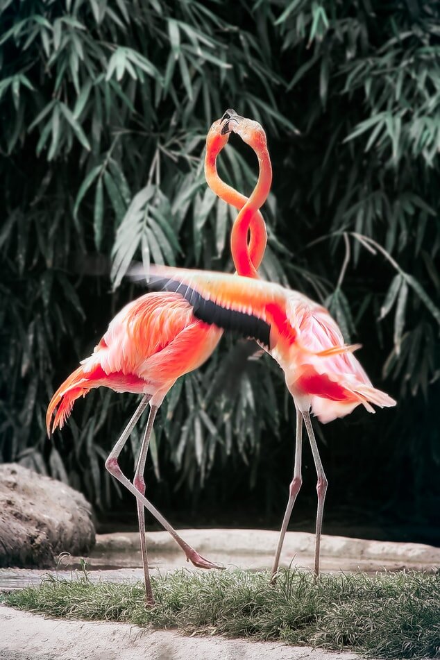 https://unsplash.com/photos/39SHYToxfiQ