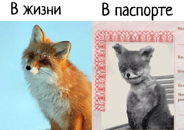 Ожидание и реальность;) 