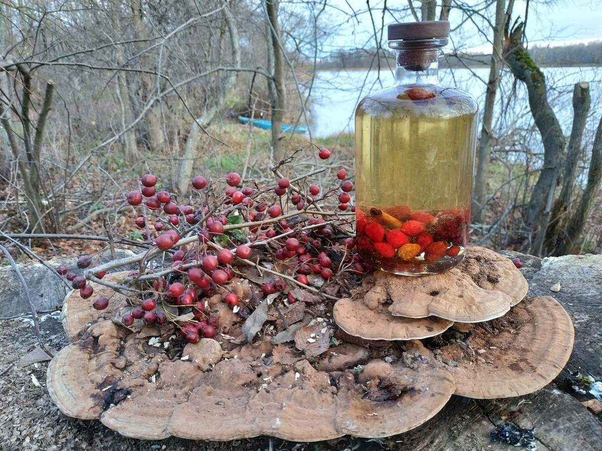 Настойка боярышника на самогоне - Искусный винокур