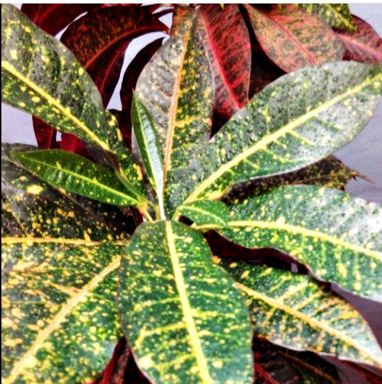 Фото Юрия Жебелева