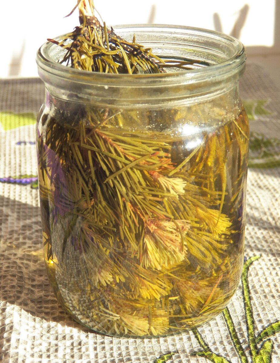 Самый сильный настой для укрепления иммунитета