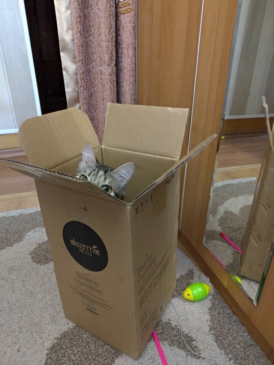 Мы играем в прятки с Марусей.