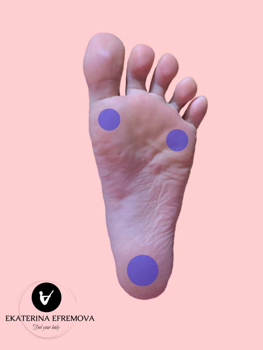 точки опоры стопы. точки опоры продольного свода стопы. распределение веса тела на стопу. точки опоры стопы. точки опоры стопы.