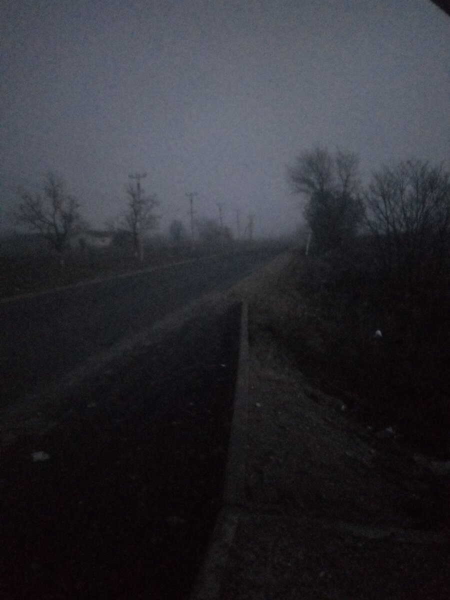 Темно и туман... Зима у нас такая😀