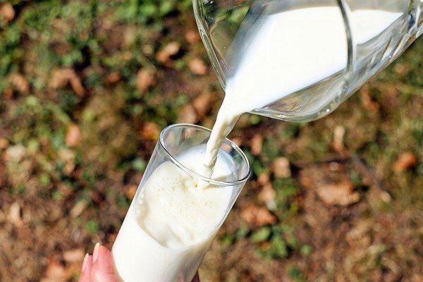 А вот от привычки пить молоко за обедом точно стоит отказаться (Фото: pixabay.com)