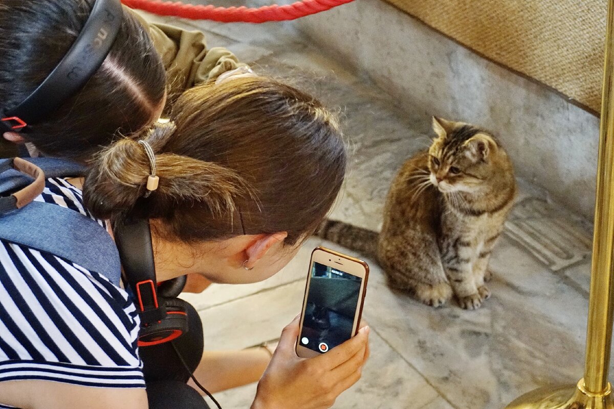 Это и есть тот самый (или та самая?) Гли, звезда Айя Софии