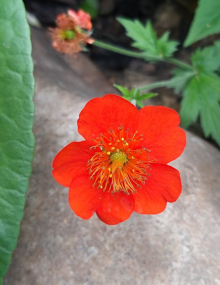 *                                                                                                  Фото автора статьи