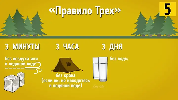 Правило. Установленные правила. Правило 333. Правило абс. Снип конструкции из говна и палок.