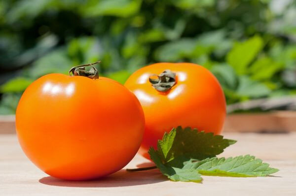 Зрелые помидоры «Хурма»