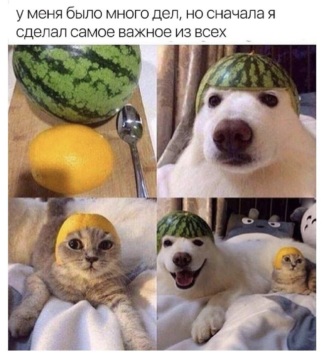 когда надо сделать уроки,а ты в час ночи: