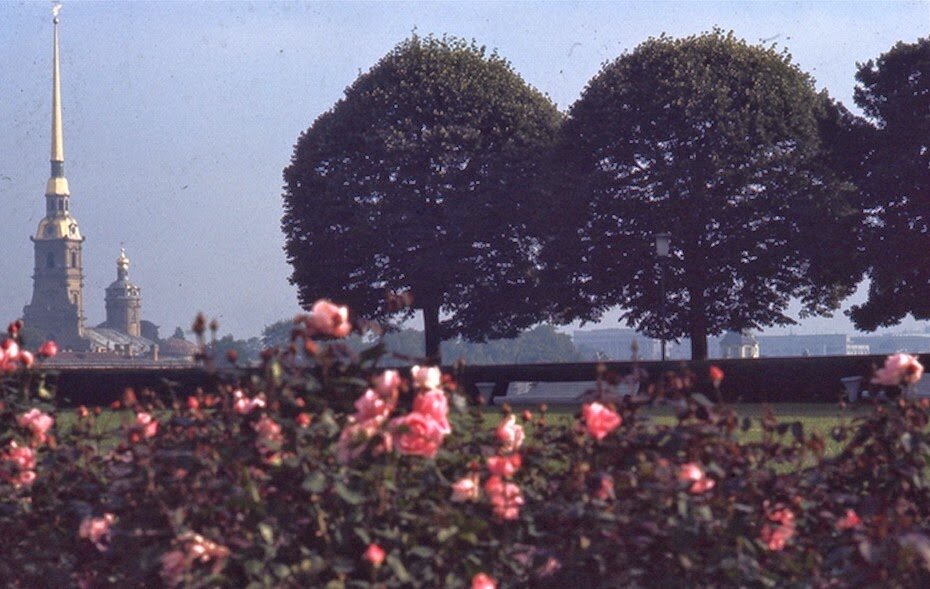 источник - https://belayaistoriya.ru/blog/43622840164/Leningrad-1965-go-v-fotografiyah?nr=1